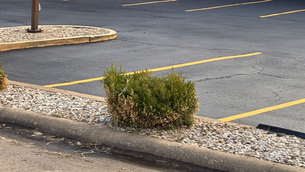 Days Inn Miami, Oklahoma Partners with All American Asphalt Services for a Smooth Experience